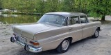 Mercedesy W110 skrzydlak i CLS C219 | Auto do ślubu Łódź, łódzkie - zdjęcie 7