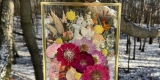 Blossom Frame konserwacja bukietów | Prezenty ślubne Mikołów, śląskie - zdjęcie 2