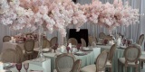 PartyFlowers Decorations | Dekoracje ślubne Kraków, małopolskie - zdjęcie 6