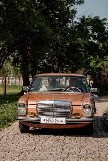 Auto do ślubu - Mercedes - Pastuszka Auto Wynajem | Auto do ślubu Zbąszyń, wielkopolskie