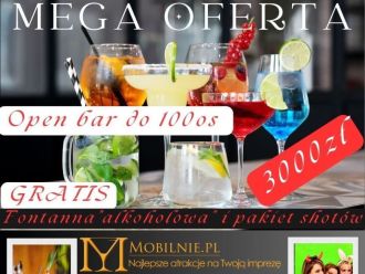 MOBILNIE Mariusz Mróz | Barman na wesele Kraków, małopolskie