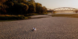 Kujawski Art Photo | Fotograf ślubny Toruń, kujawsko-pomorskie - zdjęcie 6