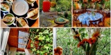 Cosmopolitan Events Catering | Catering weselny Warszawa, mazowieckie - zdjęcie 5