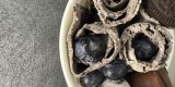 Thaine Smaki – Lody Tajskie na żywo | Unikatowe atrakcje Kalisz, wielkopolskie - zdjęcie 6