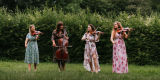 Film Music Quartet | Oprawa muzyczna ślubu Bydgoszcz, kujawsko-pomorskie - zdjęcie 2