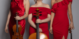 Aura Trio | Oprawa muzyczna ślubu Warszawa, mazowieckie - zdjęcie 2
