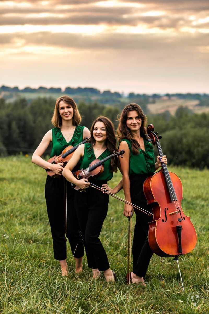 Trio Smyczkowe ARCO | Oprawa muzyczna ślubu Rzeszów, podkarpackie - zdjęcie 1