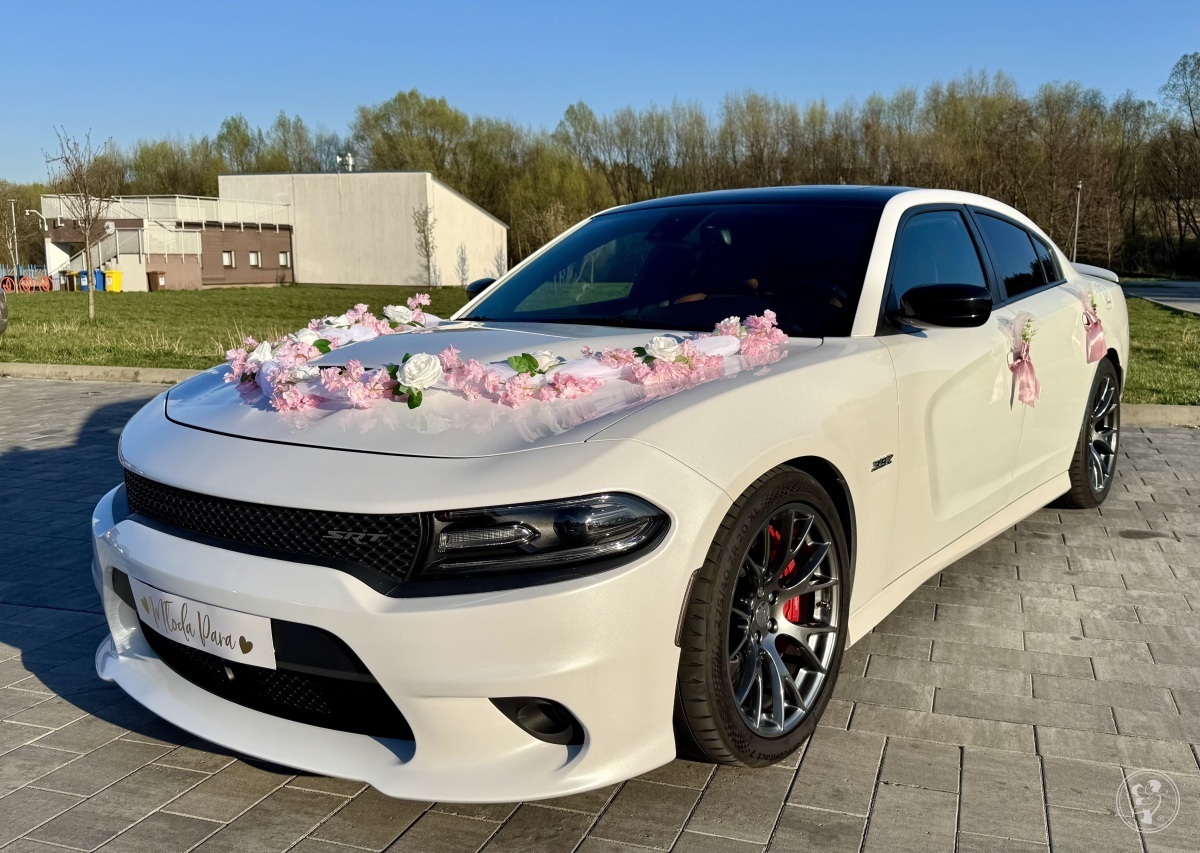 Dodge Charger 392 SRT Perłowa Biel | Auto do ślubu Świdnica, dolnośląskie - zdjęcie 1
