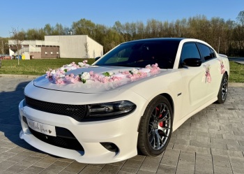 Dodge Charger 392 SRT Perłowa Biel | Auto do ślubu Świdnica, dolnośląskie