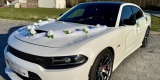Dodge Charger 392 SRT Perłowa Biel | Auto do ślubu Świdnica, dolnośląskie - zdjęcie 2