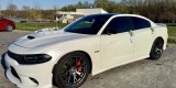 Dodge Charger 392 SRT Perłowa Biel | Auto do ślubu Świdnica, dolnośląskie - zdjęcie 4