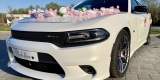 Dodge Charger 392 SRT Perłowa Biel | Auto do ślubu Świdnica, dolnośląskie - zdjęcie 6