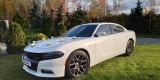 Chrysler 300C 300S 200S i CHARGER | Auto do ślubu Warszawa, mazowieckie - zdjęcie 5
