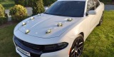 Chrysler 300C 300S 200S i CHARGER | Auto do ślubu Warszawa, mazowieckie - zdjęcie 8