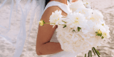 Creative Weddings | Dekoracje ślubne Lwówek Śląski, dolnośląskie - zdjęcie 2
