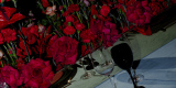 L'eclat Weddings | Wedding planner Warszawa, mazowieckie - zdjęcie 3