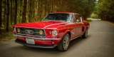 Mustang Fastback z 1967 roku | Auto do ślubu Rzeszów, podkarpackie - zdjęcie 5