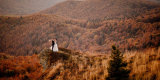 morelove | Fotograf ślubny Krosno, podkarpackie - zdjęcie 8
