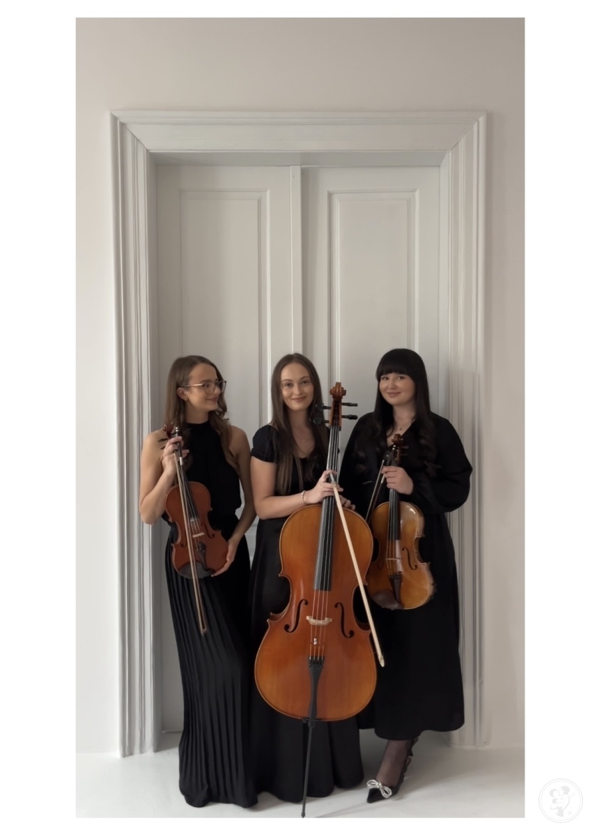 because of music - trio smyczkowe | Oprawa muzyczna ślubu Kraków, małopolskie - zdjęcie 1