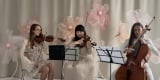 because of music - trio smyczkowe | Oprawa muzyczna ślubu Kraków, małopolskie - zdjęcie 2