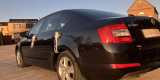 Skoda Octavia | Auto do ślubu Toruń, kujawsko-pomorskie - zdjęcie 3