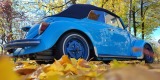 Vintage Wheels | Auto do ślubu Mikołów, śląskie - zdjęcie 6