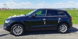 Audi Q5 | Auto do ślubu Krosno, podkarpackie - zdjęcie 3