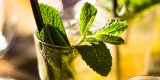Barmańskie Kiwi | Barman na wesele Tuchola, kujawsko-pomorskie - zdjęcie 4