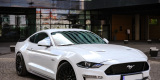 Ford Mustang GT | Auto do ślubu Gdynia, pomorskie - zdjęcie 2