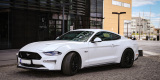 Ford Mustang GT | Auto do ślubu Gdynia, pomorskie - zdjęcie 3