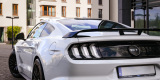 Ford Mustang GT | Auto do ślubu Gdynia, pomorskie - zdjęcie 4