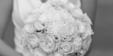 Adorea Weddings - Fotografia i film | Fotograf ślubny Kielce, świętokrzyskie - zdjęcie 2
