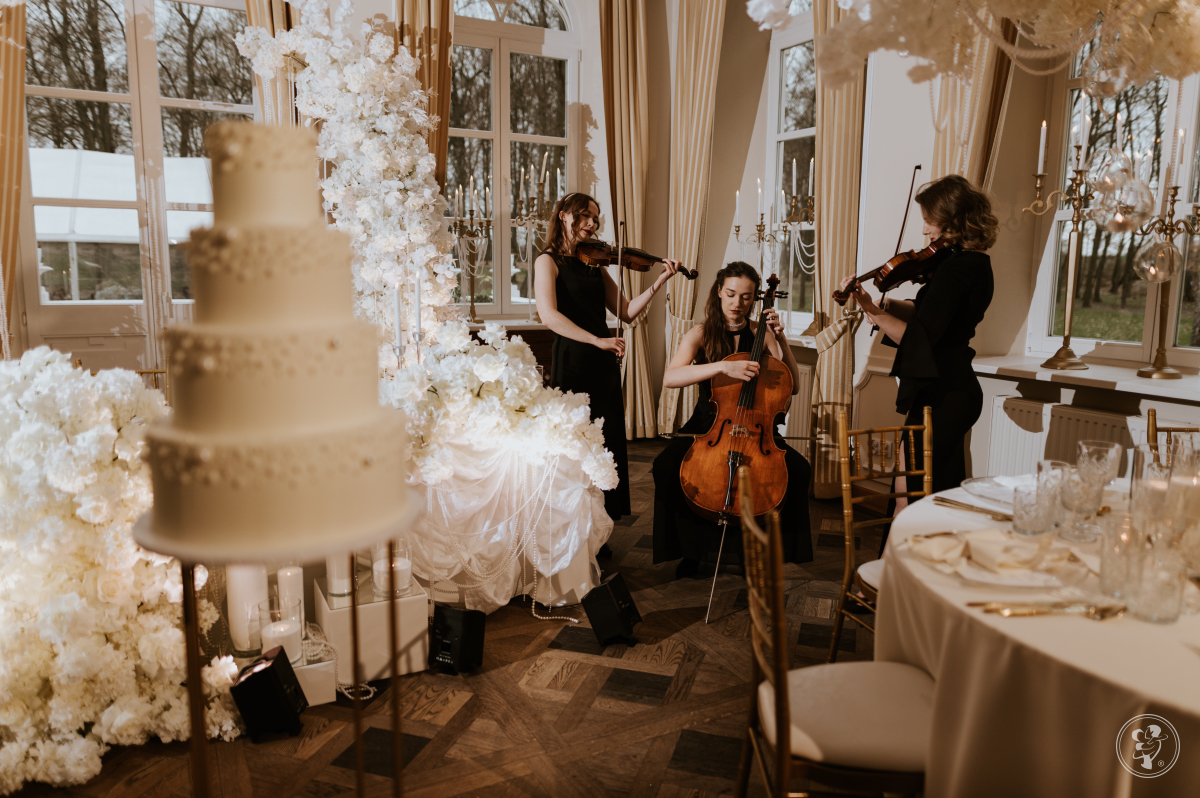 Kiss me duo Skrzypce i Wiolonczela | Oprawa muzyczna ślubu Warszawa, mazowieckie - zdjęcie 1