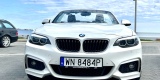 Białe BMW Cabrio | Auto do ślubu Gdynia, pomorskie - zdjęcie 3