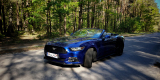 Ford Mustang Cabrio | Auto do ślubu Warszawa, mazowieckie - zdjęcie 2