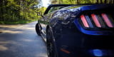 Ford Mustang Cabrio | Auto do ślubu Warszawa, mazowieckie - zdjęcie 4