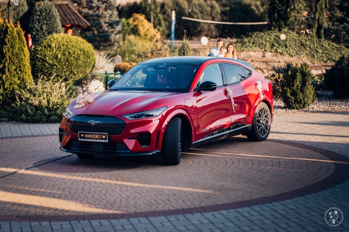Mustang Mach-E GT | Auto do ślubu Sierpc, mazowieckie - zdjęcie 1