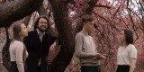 Kwartet wokalny Vox Dulcis | Oprawa muzyczna ślubu Lublin, lubelskie - zdjęcie 5