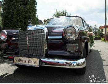 Mercedes retro z lat 60', Samochód, auto do ślubu, limuzyna Radzionków