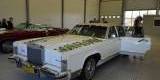 Rolls Royce, Cadillac, Lincoln i inne do ślubu!!, Tarnobrzeg - zdjęcie 2