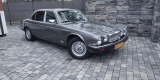 Jaguar XJ z 1979r | Auto do ślubu Pisz, warmińsko-mazurskie - zdjęcie 2