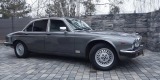 Jaguar XJ z 1979r | Auto do ślubu Pisz, warmińsko-mazurskie - zdjęcie 4