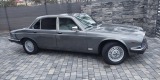 Jaguar XJ z 1979r | Auto do ślubu Pisz, warmińsko-mazurskie - zdjęcie 5