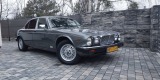 Jaguar XJ z 1979r | Auto do ślubu Pisz, warmińsko-mazurskie - zdjęcie 3