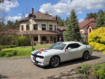 Dodge Challenger | Auto do ślubu Siewierz, śląskie