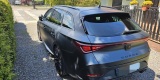 Cupra Leon Sports ST | Auto do ślubu Żywiec, śląskie - zdjęcie 4
