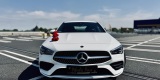 BMW Mercedes Mustang GT Lexus Supra | Auto do ślubu Lublin, lubelskie - zdjęcie 3