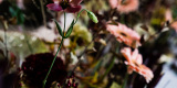Układam wesela - Marta Pakuła | Wedding planner Warszawa, mazowieckie - zdjęcie 2