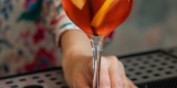 Lawendowy Spritz | Barman na wesele Warszawa, mazowieckie - zdjęcie 5