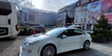 GOTaxi5 - Peugeot 407 | Auto do ślubu Dąbrowa Górnicza, śląskie - zdjęcie 3